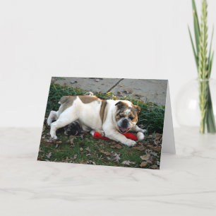 Cartão Diga o compaixão!