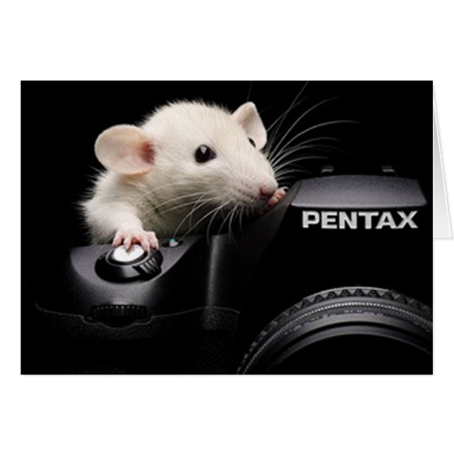 Cartão Diga queijo! (Frente Horizontal)