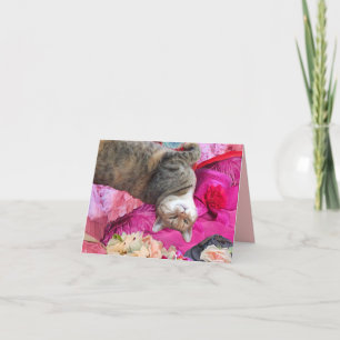 Cartão Dilema da Princesa Tatus Cat