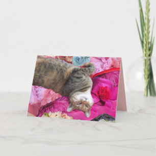 Cartão Dilema da Princesa Tatus Cat