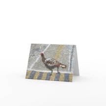 Dindee na faixa de travessia do centro