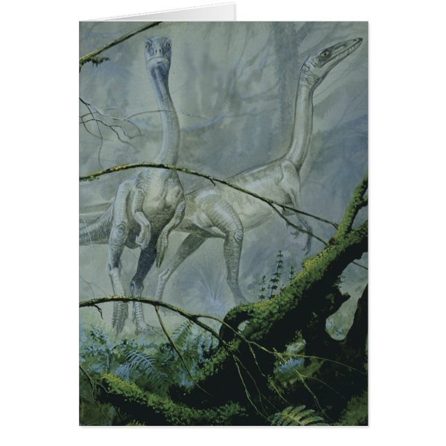 Cartão Dinossauros Vintage, Megapnosaurus aka Syntarsus (Frente)