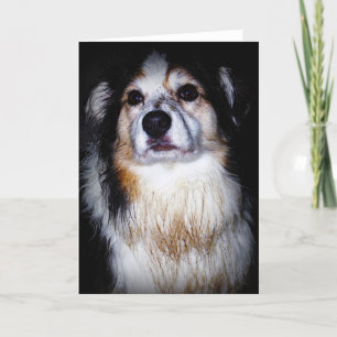 Cartão Dirty Digger Doggie