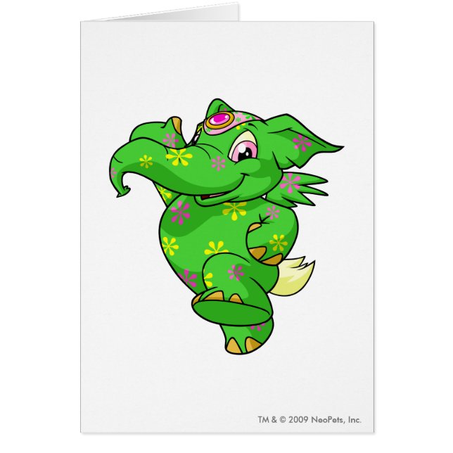 Cartão Disco de Elephante (Frente)