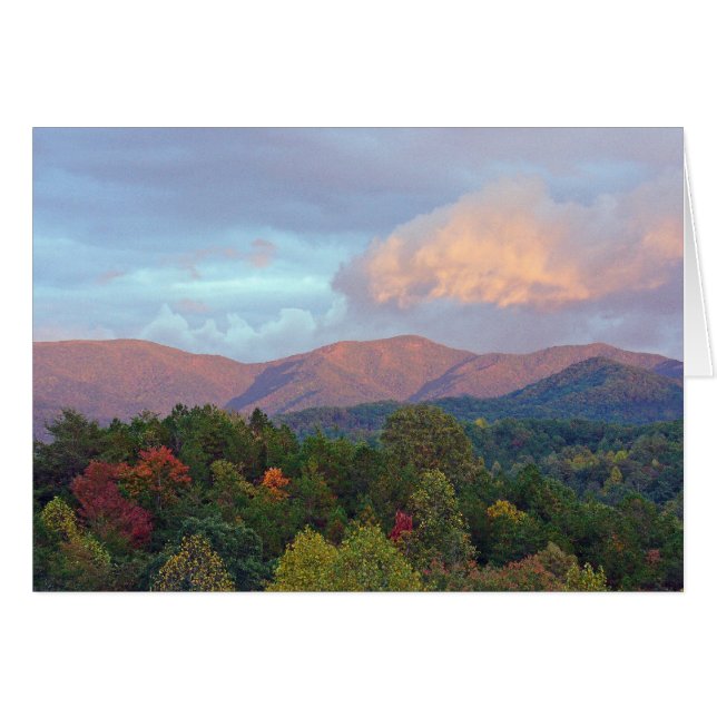 Cartão Disparo (Frente horizontal)