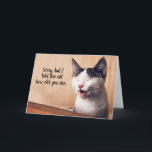 Cartão Disse A Cat Que Idade Você É Engraçada Nadinha<br><div class="desc">Amantes de gatos podem ser alces espertos,  malvados e cínicos... E também podem ser agradáveis,  doces e carinhoso. 
Este cartão é para os mais sarcásticos! LOL Faça-os rir com um humor mordido!</div>