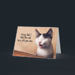 Cartão Disse A Cat Que Idade Você É Engraçada Nadinha<br><div class="desc">Amantes de gatos podem ser alces espertos,  malvados e cínicos... E também podem ser agradáveis,  doces e carinhoso. 
Este cartão é para os mais sarcásticos! LOL Faça-os rir com um humor mordido!</div>