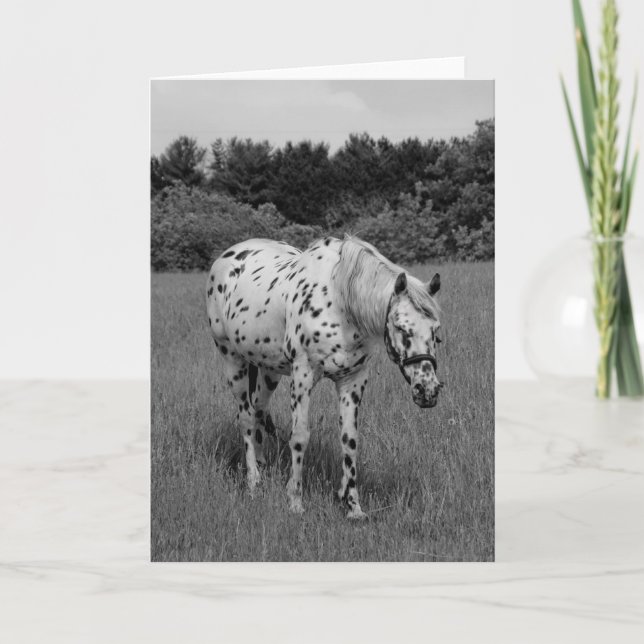 Cartão Ditto (Frente)