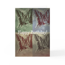 Diversão da borboleta, aniversário