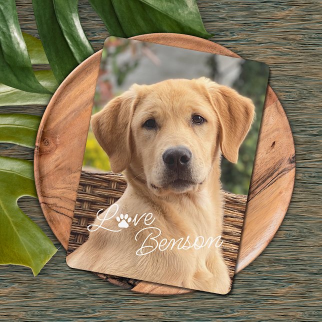 Cartão Diversão Minha Melhor Foto De Amigo Impressão De P (Criador carregado)