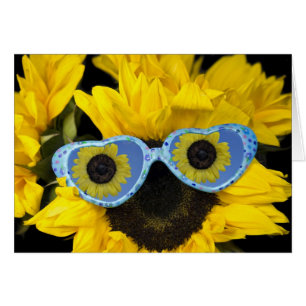 Cartão Divertido No Sol