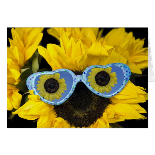 Cartão Divertido No Sol (Frente horizontal)