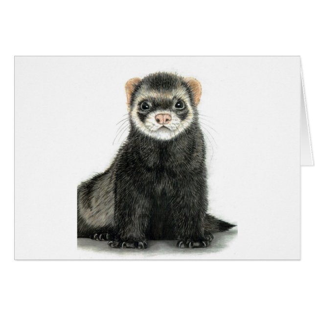 Cartão Divertimento de Ferret! (Frente Horizontal)