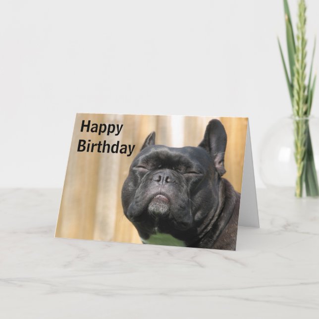 Cartão Divertimento do feliz aniversario - Paris Merille (Frente)