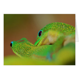 Cartão Divertimento romântico ligeiro lateral selvagem