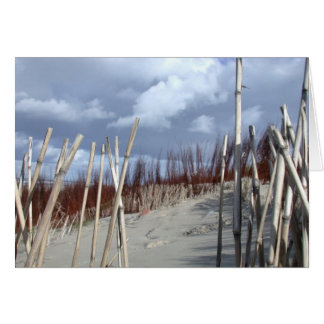Cartão Divisória de praia