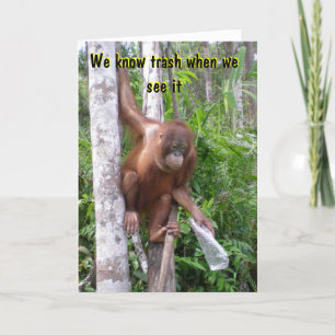 Cartão Divórcio Engraçado ou quebra de encorajamento