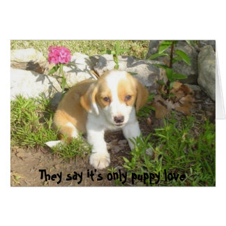Cartão Dizem que é só amor de cachorrinho