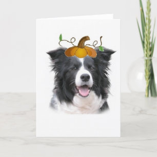 Cartão Dizzy Dogz~Border Collie Note Card~Halloween