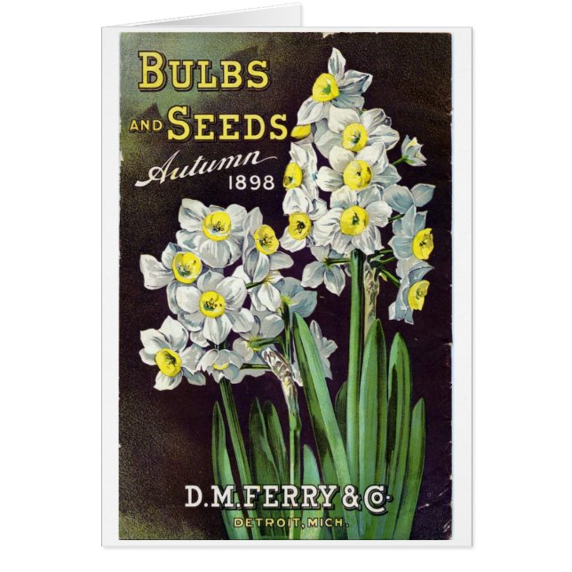 Cartão DM Ferry Seeds and Bulbs 1898 (Frente)