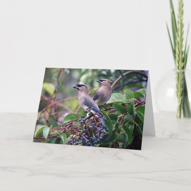 Cartão do almoço do pássaro (vazio para dentro) (Frente)