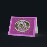 Cartão do amigo do aniversário do Phlox de<br><div class="desc">O phlox selvagem enfeita bordas e esclarecimentos da floresta.</div>