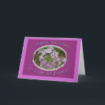 Cartão do amigo do aniversário do Phlox de<br><div class="desc">O phlox selvagem enfeita bordas e esclarecimentos da floresta.</div>