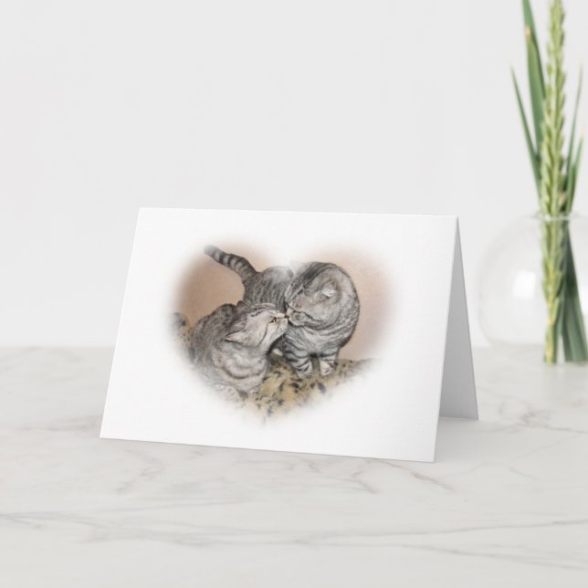 Cartão do amor do gato (Frente)