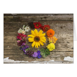 Cartão do arco-íris do girassol