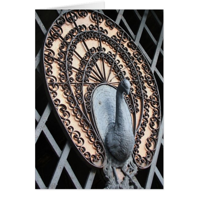 Cartão Do "arte da foto da porta pavão" - (Frente)