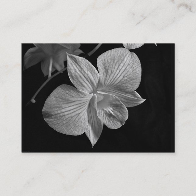 Cartão do ATC da flor da orquídea do Dendrobium (Frente)