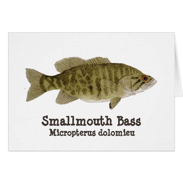 Cartão do baixo de Smallmouth (Frente Horizontal)