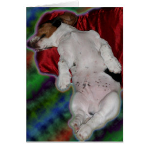 cartão do Basset dos sonhos doces