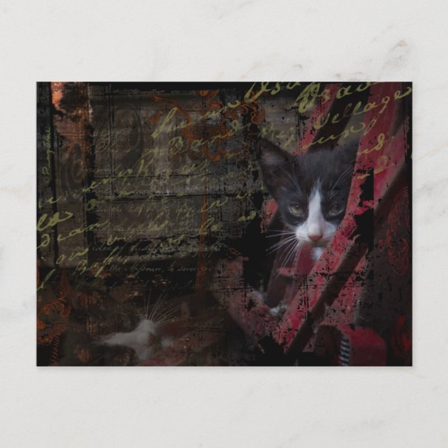 cartão do beco 007 (Frente)