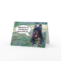 Cartão do buldogue logo francês da sensação melhor