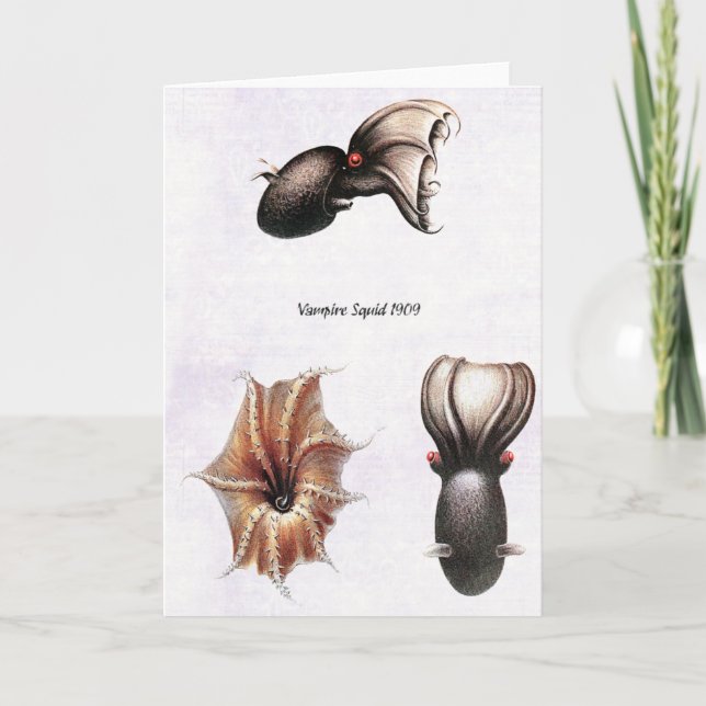 Cartão do calamar do vampiro (Frente)