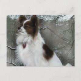 Cartão do canil do herói do beijo de Hershey