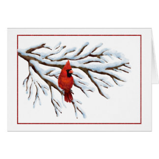 Cartão do Cardinal Vermelho de Inverno