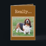 Cartão Do "cartão de aniversário engraçado dos anos cão"<br><div class="desc">Do "cartão de aniversário engraçado dos anos cão" de Basset Hound</div>