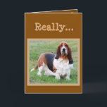 Cartão Do "cartão de aniversário engraçado dos anos cão"<br><div class="desc">Do "cartão de aniversário engraçado dos anos cão" de Basset Hound</div>