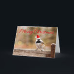 Cartão do Chickadee do papai noel do Feliz Natal<br><div class="desc">O chickadee preto-tampado pequeno empoleirou em vestir-se do banco o papai noel que o chapéu ... .. se apronta para desejar a todo o o Feliz Natal! Totalmente customizável para que você personalize como você por favor!</div>