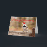 Cartão do Chickadee do papai noel do Feliz Natal<br><div class="desc">O chickadee preto-tampado pequeno empoleirou em vestir-se do banco o papai noel que o chapéu ... .. se apronta para desejar a todo o o Feliz Natal! Totalmente customizável para que você personalize como você por favor!</div>