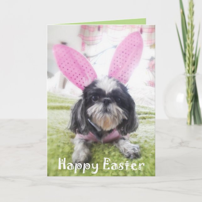 Cartão do coelho de Shitzu do felz pascoa (Frente)