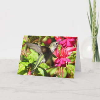Cartão do colibri