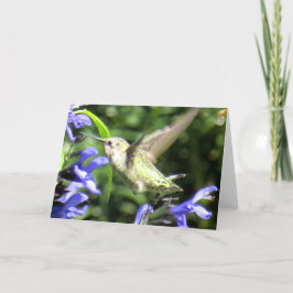 Cartão do colibri
