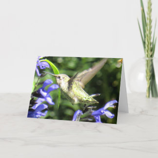 Cartão do colibri