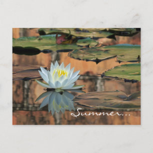 Cartão do convite de festas do solstício de verão