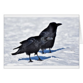 Cartão do corvo