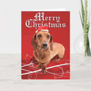 Cartão do Dachshund do Feliz Natal