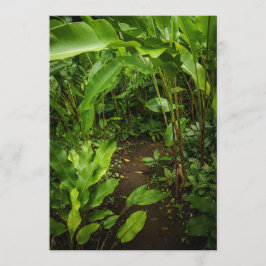 Cartão do Dia da Terra com jardim tropical verde